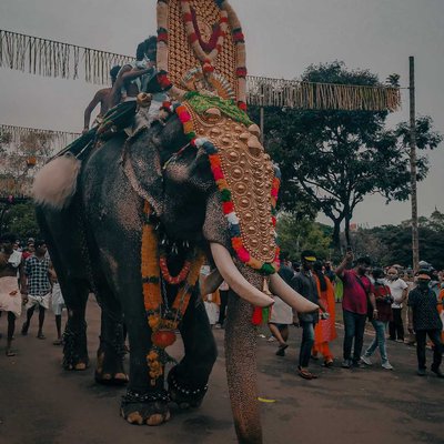 Thrissur pooram 2022