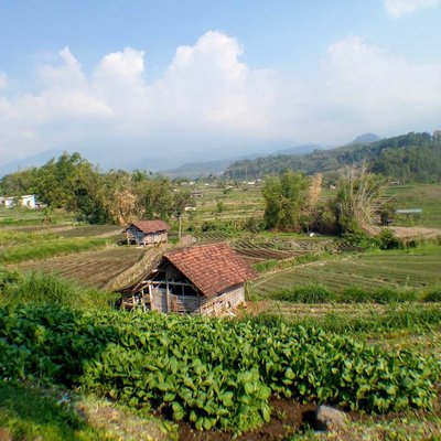 Sawah Tegal di Musim Kemarau