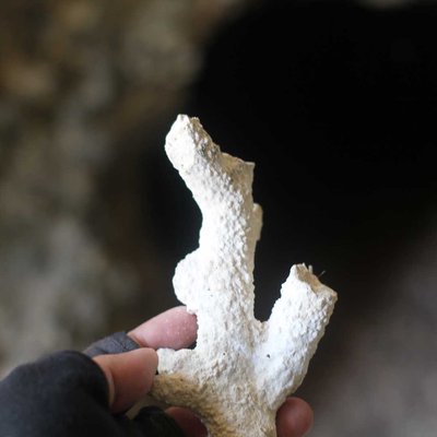 geosite Botubarani