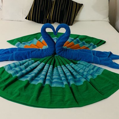 Towel Art
