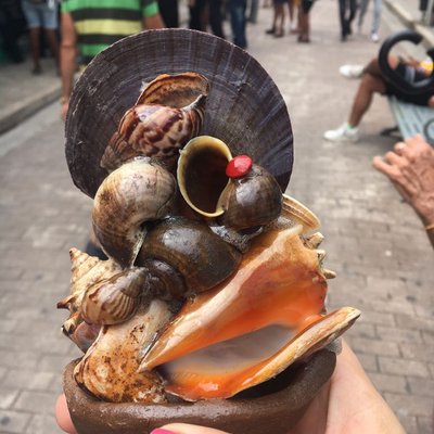 Artesanías 🐚 