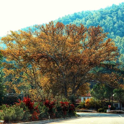 Marmaris 