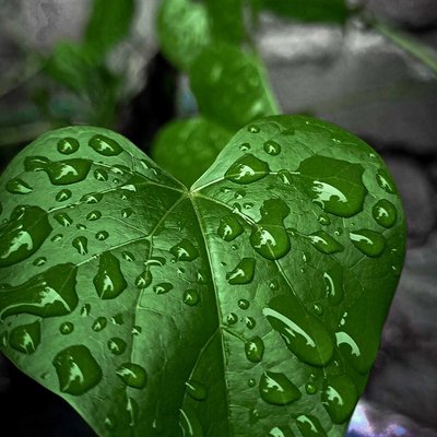 see how beautiful nature can♥️