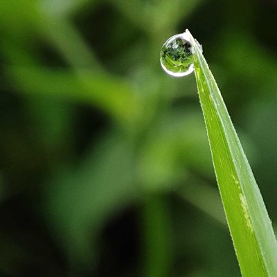 macro photography 📲