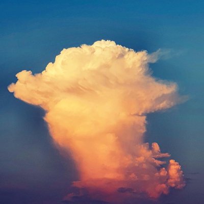 Nature never seizes to amaze you…