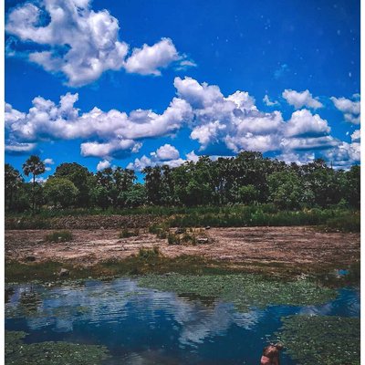 Village pond 