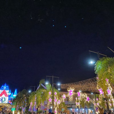 Night of Lights