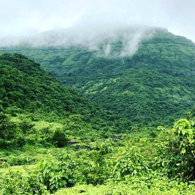 Nature 