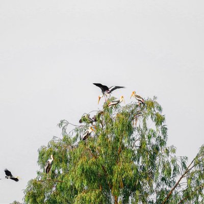 hingolgadh, Gujarat 