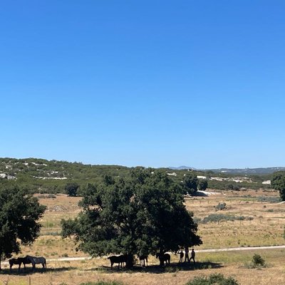 día de rancho