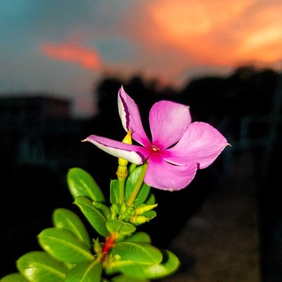 colours of nature 