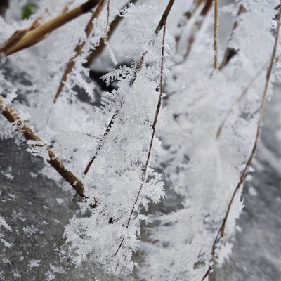 Still frozen time ❄️