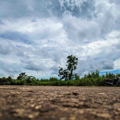 ELEMENTS OF NATURE