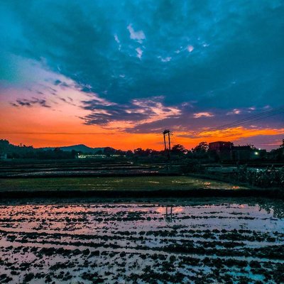 Sunset 