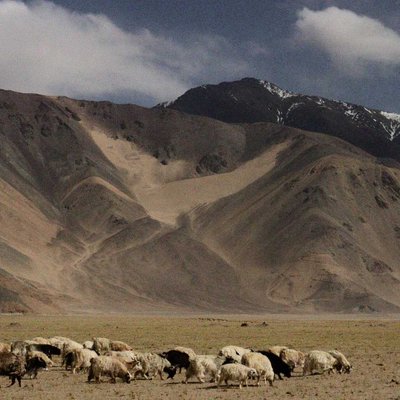 Changthang