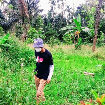 plantation