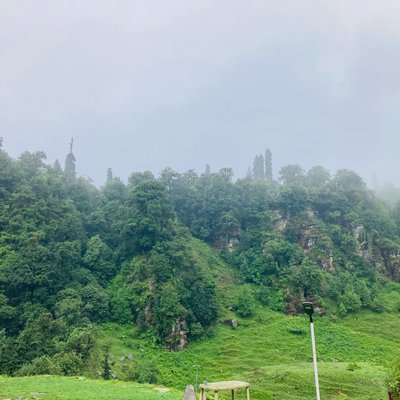 Chopta - Magnificent View 
