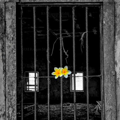 Set me free 🌼