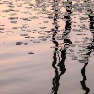 Reflection 