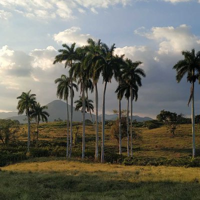 Atardece en los campos de Cuba