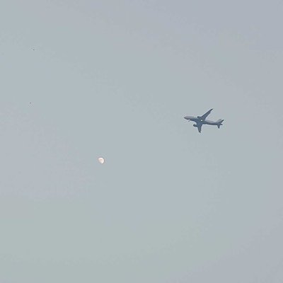 TO THE MOON 
