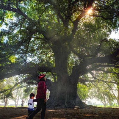 ibu dan anak
