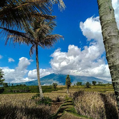 my village