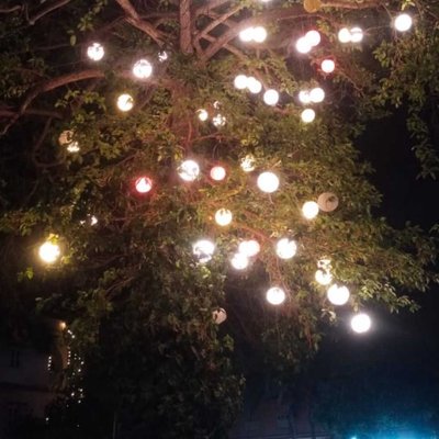 Light of 🌲🌲