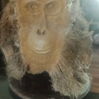 orangutan bamboo root statue