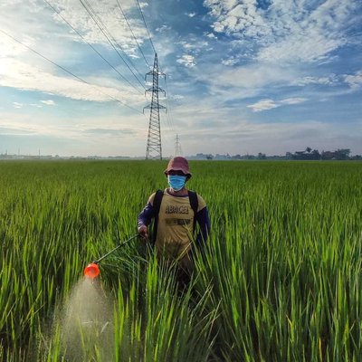 A Farmer spraying pesticides