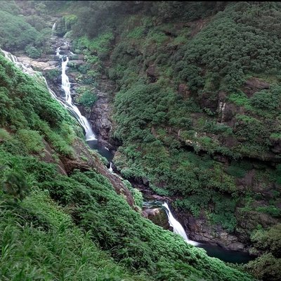 Find "FLOWS" in Nature rather than "FLAWS"