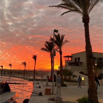 Beautiful Egypt Sunsets 🌅😍