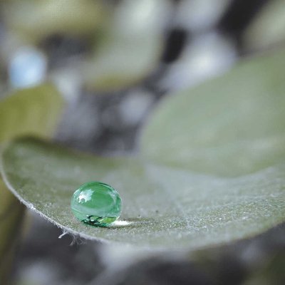water droplets 