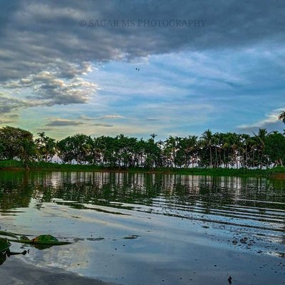 Landscape 