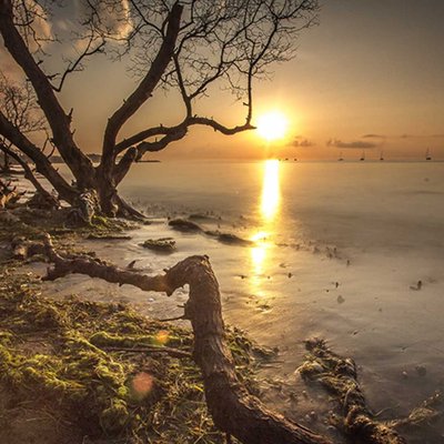 Pagi Yang Indah Dari Mertasari