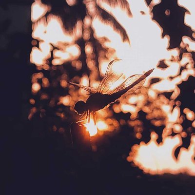 sunset effect 