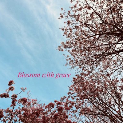 Blossom