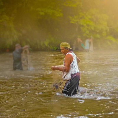jala ikan 