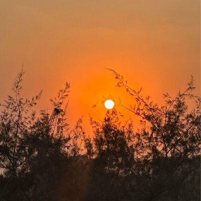 gorgeous sun set in Delhi