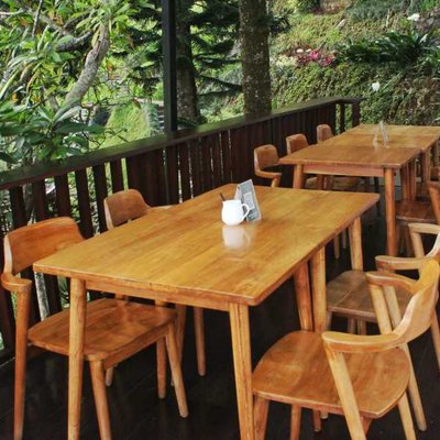 Damar Langit Resort