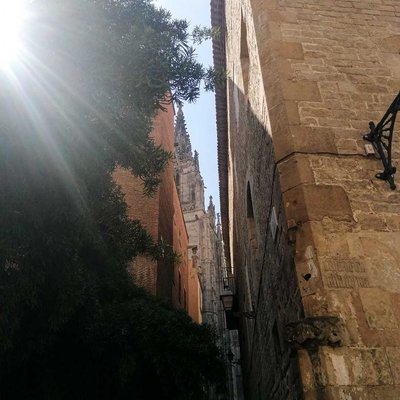Catedral de Barcelona 