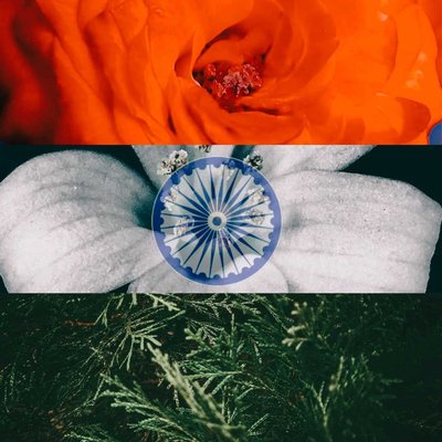 Republic Day Special Collage 