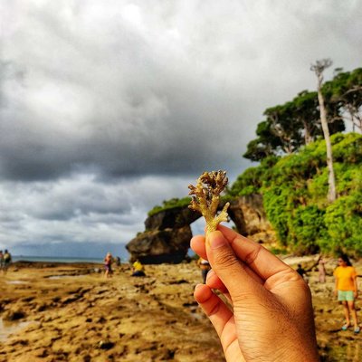 beautiful wonders of nature