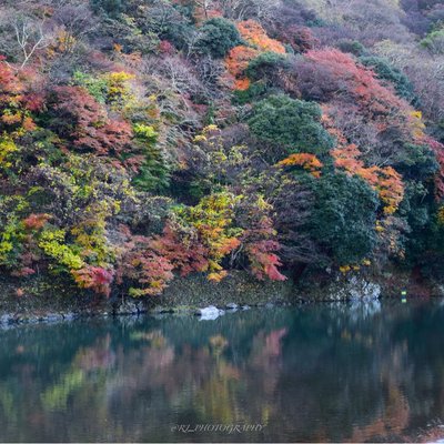 Autumn in Arashiyama