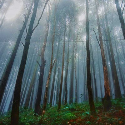 Beautiful Nature ❤️