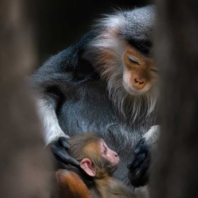 Mother taking care of her baby ❣️
