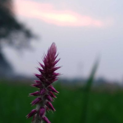 sunset capture 😍 ❤ 
