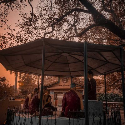 Bodhi Tree at Sarnath 