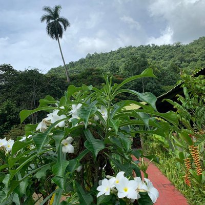 📍Reserva Ecológica Lomas de Banao 