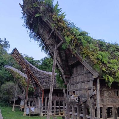 Rumah Adat Toraja